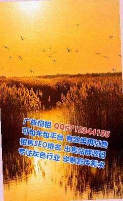 张家港借腹生子半导体有限公司